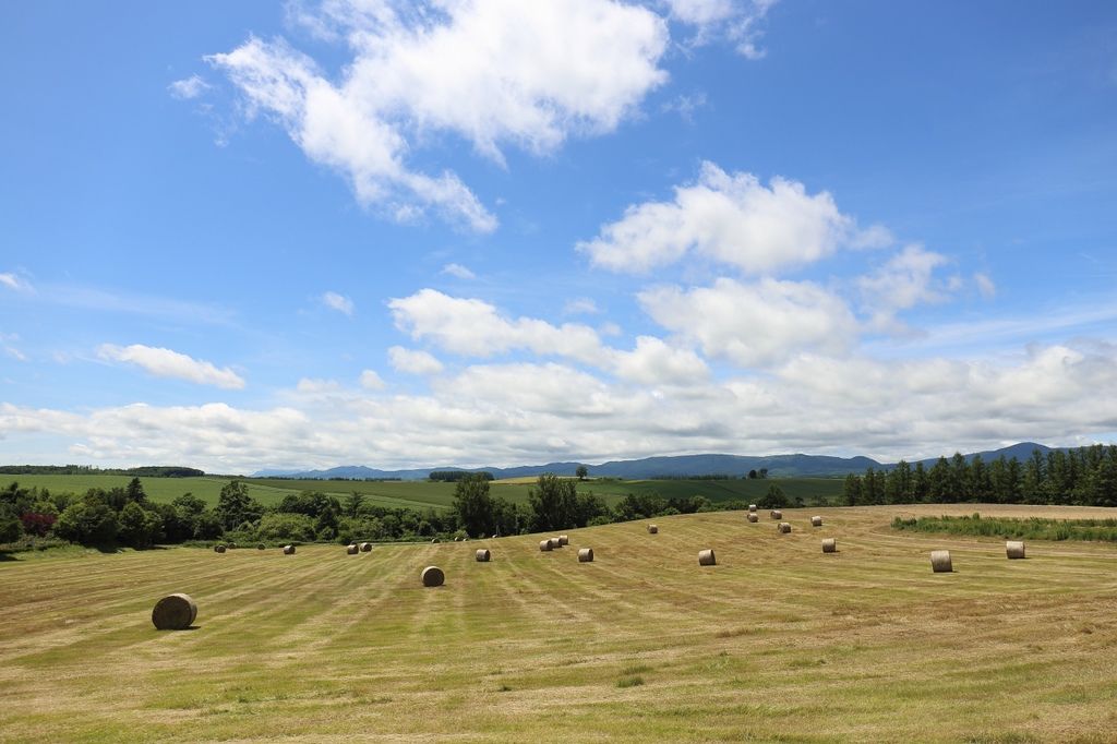 20160627_北海道_051.JPG