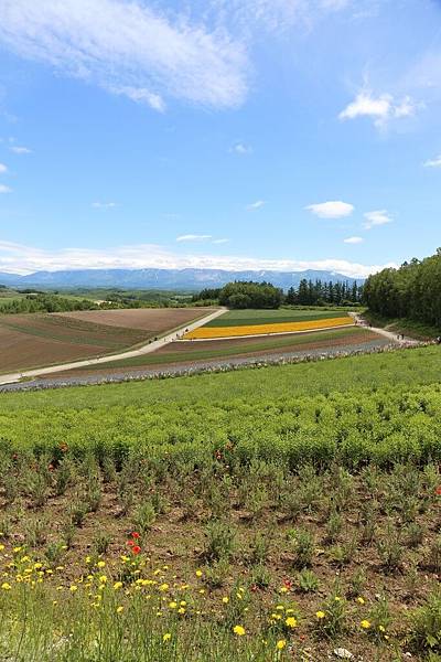 20160627_北海道_103.JPG