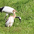 20100904_北海道_040.jpg