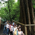 20090628_拉拉山_046.JPG