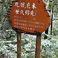 20090628_拉拉山_055.JPG