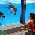 20100907_北海道_028.jpg