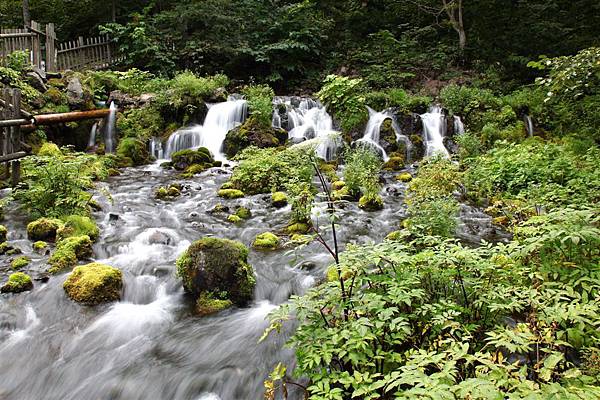 20100906_北海道_111.jpg