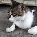 20100914_瑞芳猴硐_ 30.jpg