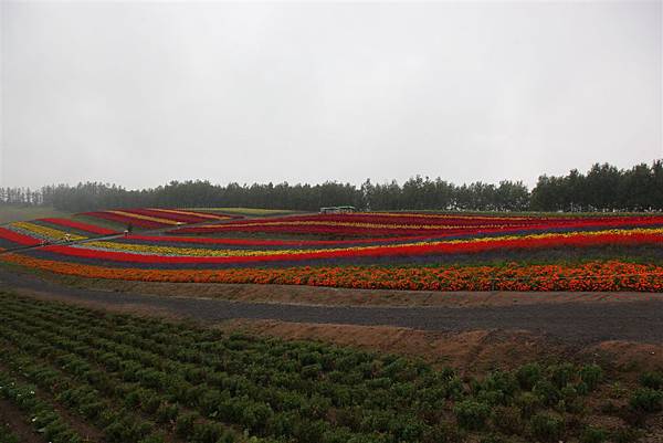 20100905_北海道_060.JPG