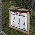 20100904_北海道_042.JPG