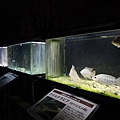 20110318_沖繩_066.JPG