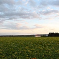 20100904_北海道_080.jpg