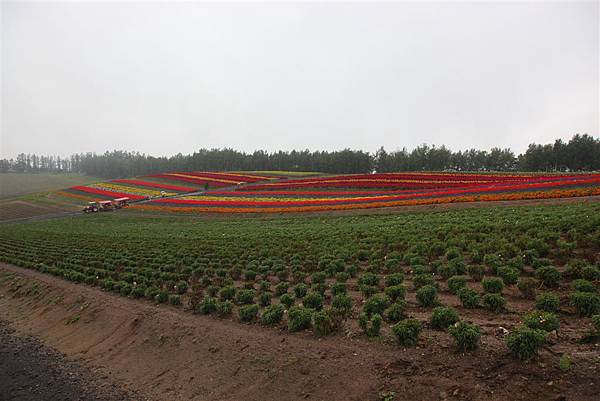 20100905_北海道_059.JPG