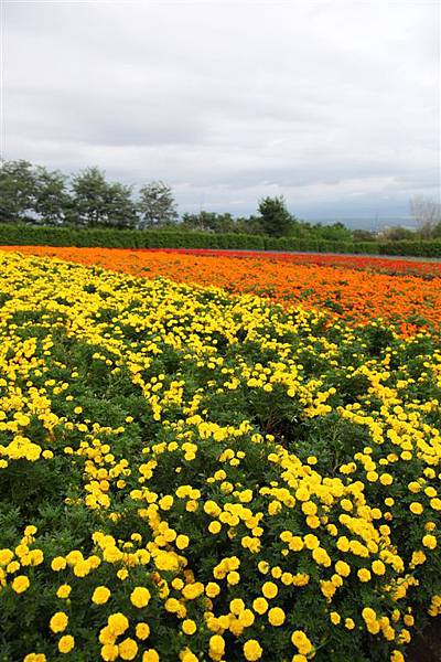 20100905_北海道_024.JPG