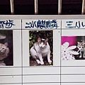 20101005_猴硐十分_050.JPG