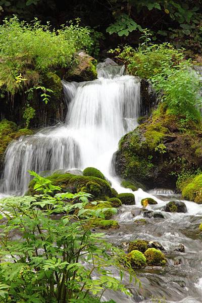 20100906_北海道_116.JPG