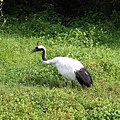 20100904_北海道_041.JPG