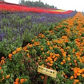 20100905_北海道_061.JPG