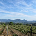 Lucca01