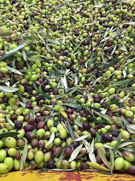 123103983_10221478837591774_6398172301859422378_n