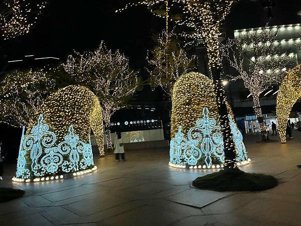 【台北信義】高空俯瞰台北市景，〔101隨意鳥地方〕精緻義大利