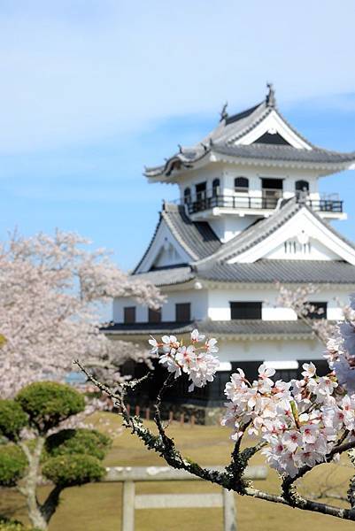 ⑫城山：桜と城.jpg