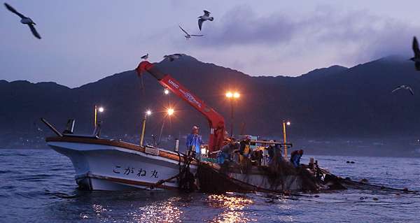 千葉館山ー住宿 眺望館山灣的高級私人度假溫泉飯店ー 森羅 The Shinra 館山滯在記 東京近郊千葉館山旅遊 痞客邦