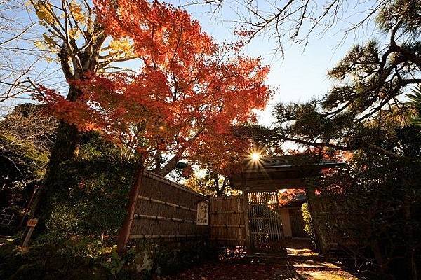 紅葉（城山公園）_★S34A4996.jpg