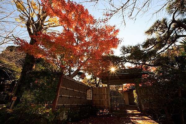 千葉館山ー景點 必訪景點館山城 城山公園 館山滯在記 東京近郊千葉館山旅遊 痞客邦