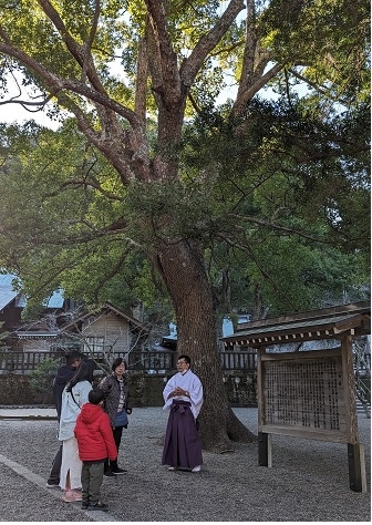 安房神社3.jpg