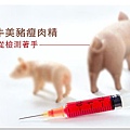 TAT_blogbanner_瘦肉精01