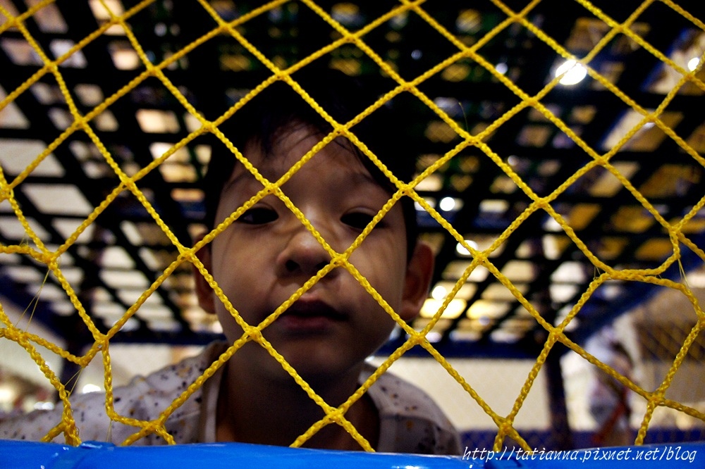 DSC04016.JPG DSC04016.JPG