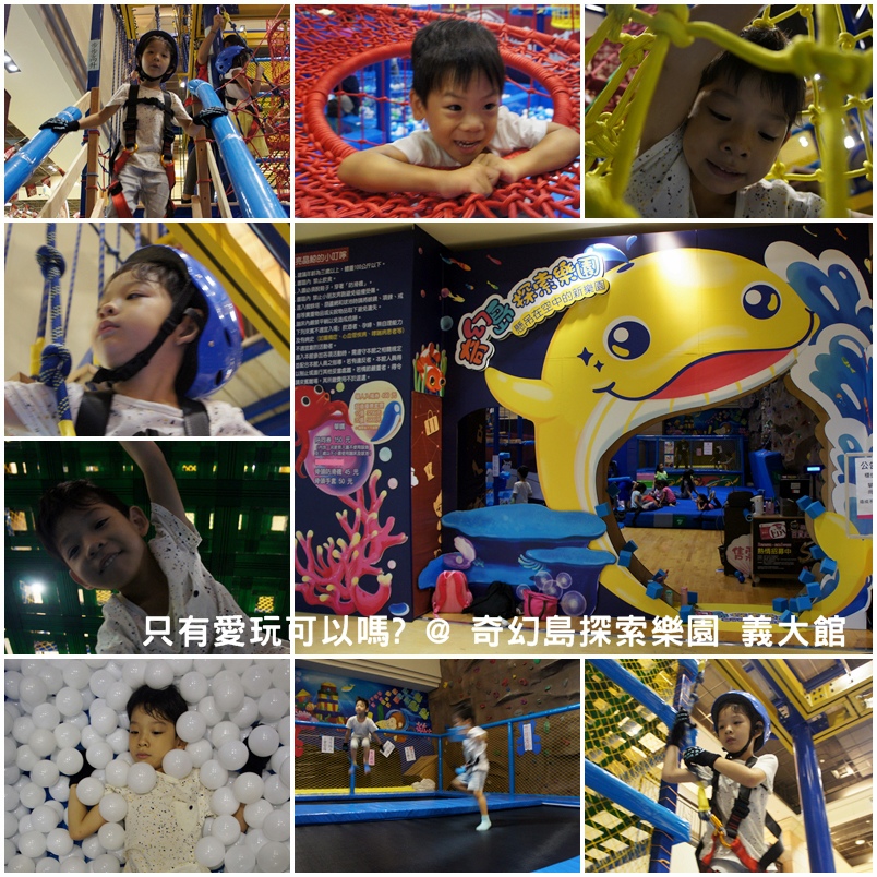 cats11.jpg cats11.jpg