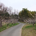 DSCF1772