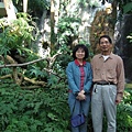DSCF1377.JPG