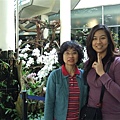 DSCF1382.JPG