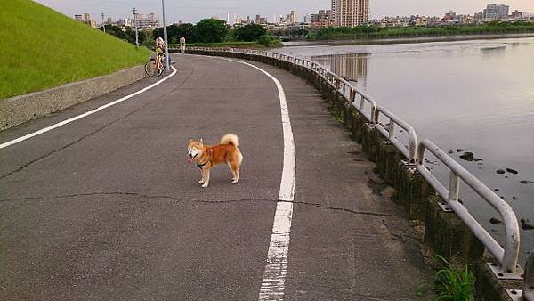 百齡右岸河濱公園