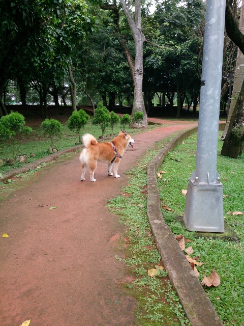 至善公園