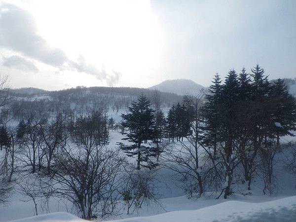 北海道滑雪 (8)