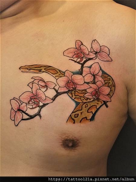 蘭花與蛇刺青.jpg