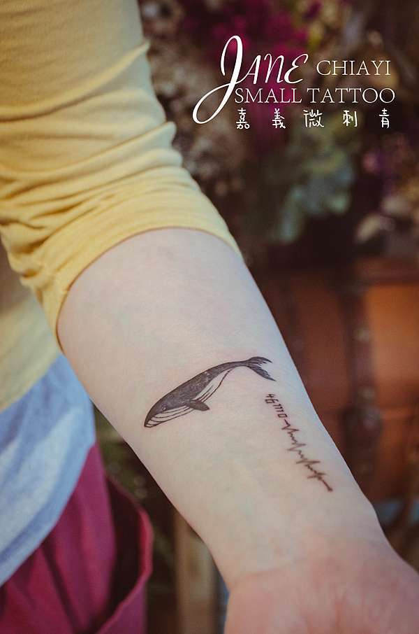 母愛的鯨魚 嘉義微刺青鯨魚刺青 嘉義微刺青 痞客邦 母愛的鯨魚 嘉義微刺青鯨魚刺青 嘉義微刺青 痞客邦