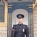 a very tall, handsome and cool guard