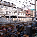 R0019674.JPG