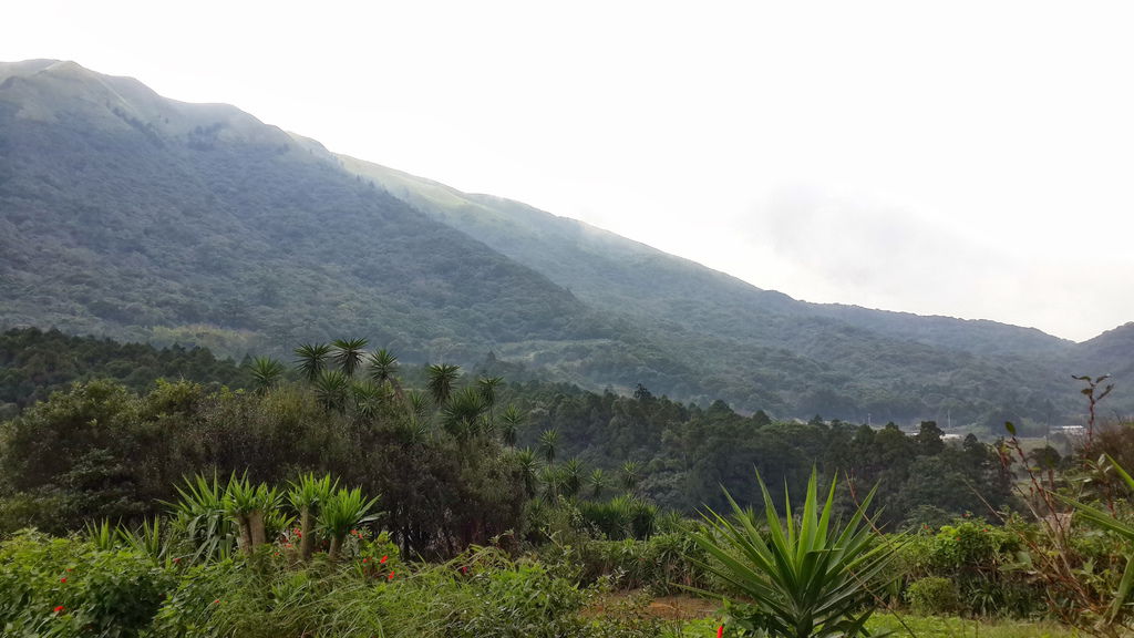 陽明山 冷水坑