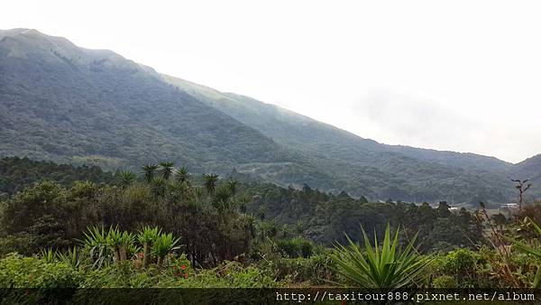 陽明山 冷水坑.jpg