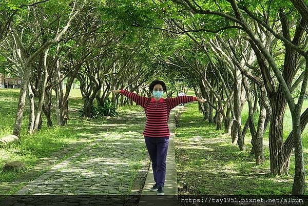 16https:%2F%2Flnkd.in%2FgZyivvrH (池上大坡池風景區、111年3月花東之旅、花東友宮參香之旅：龍奉宮→勁好洗休48767418_bc2a6b2a_78