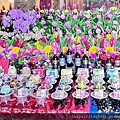LINE_ALBUM_甲辰年菩薩祝壽-1_240721_8.jpg