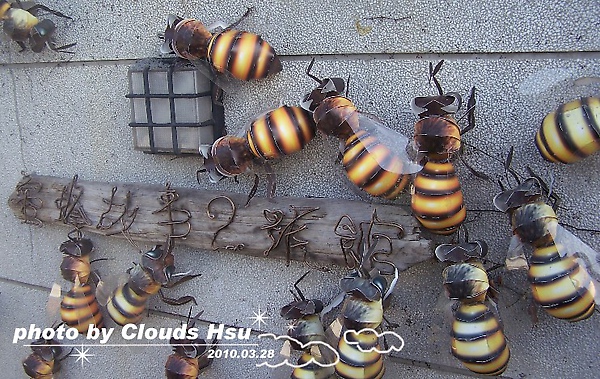 紙箱王（Bees）.jpg