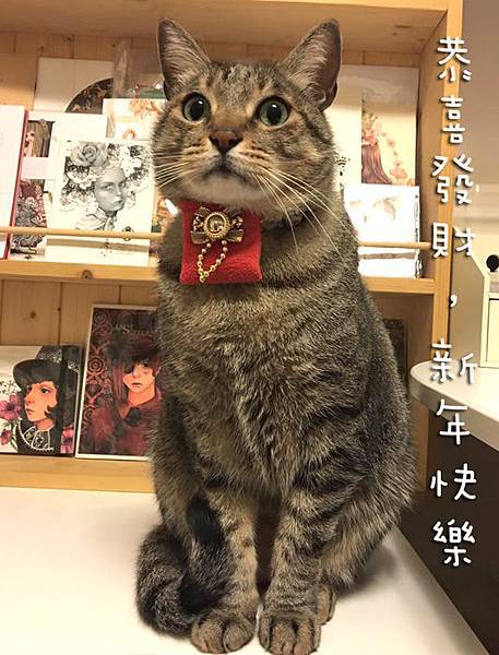 2016 新年快樂 ! 恭喜發財 ! 2016 新年快樂 ! 恭喜發財 !