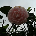 20120415_123829.jpg