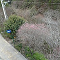 20130124_070451.jpg