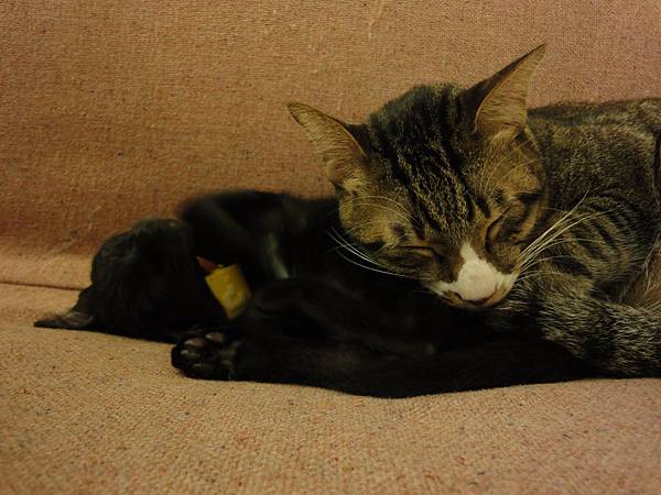 DSC02583.JPG DSC02583.JPG