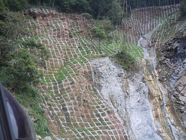 上阿里山的沿途12.JPG