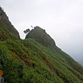 上阿里山的沿途08.JPG